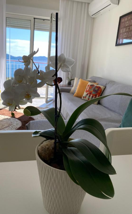 Mimoza'S Sea View Apartment PalaiónTsiflíkion المظهر الخارجي الصورة