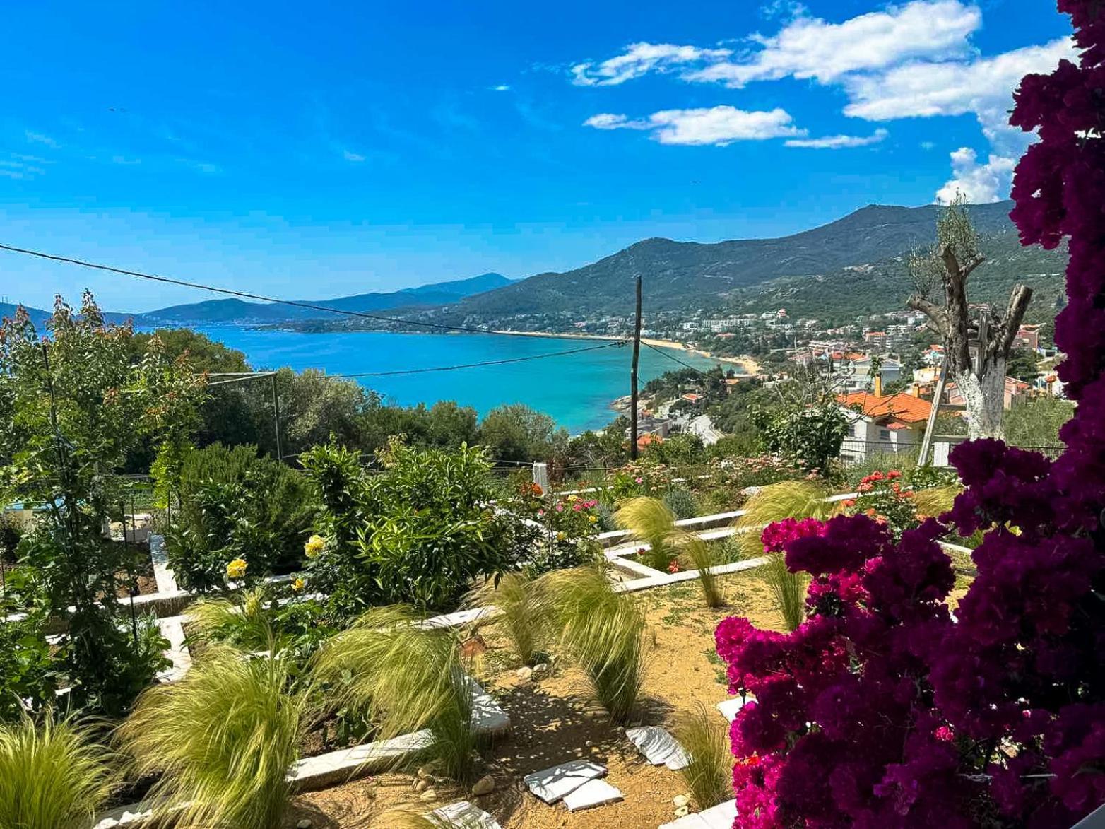 Mimoza'S Sea View Apartment PalaiónTsiflíkion المظهر الخارجي الصورة