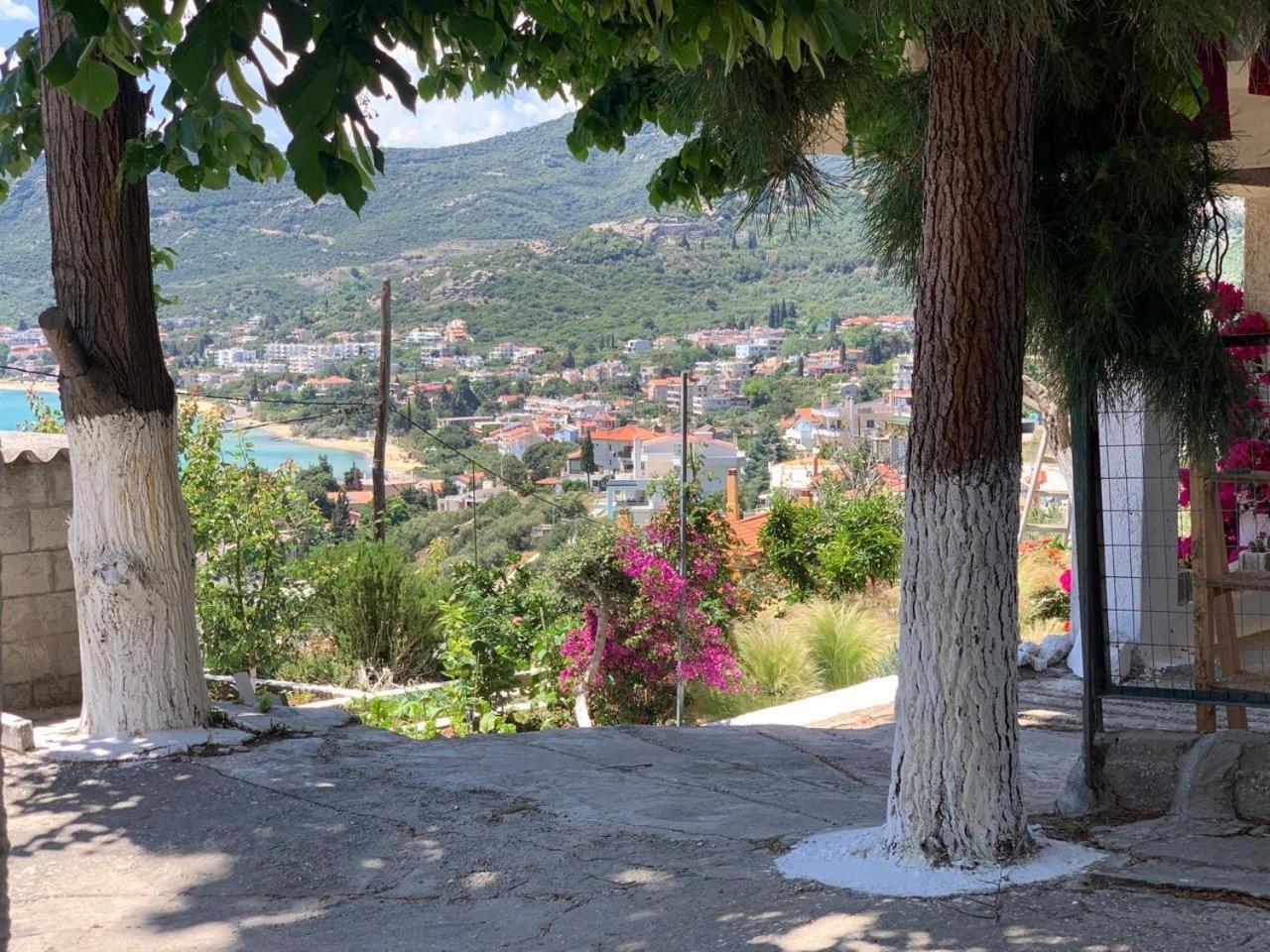 Mimoza'S Sea View Apartment PalaiónTsiflíkion المظهر الخارجي الصورة