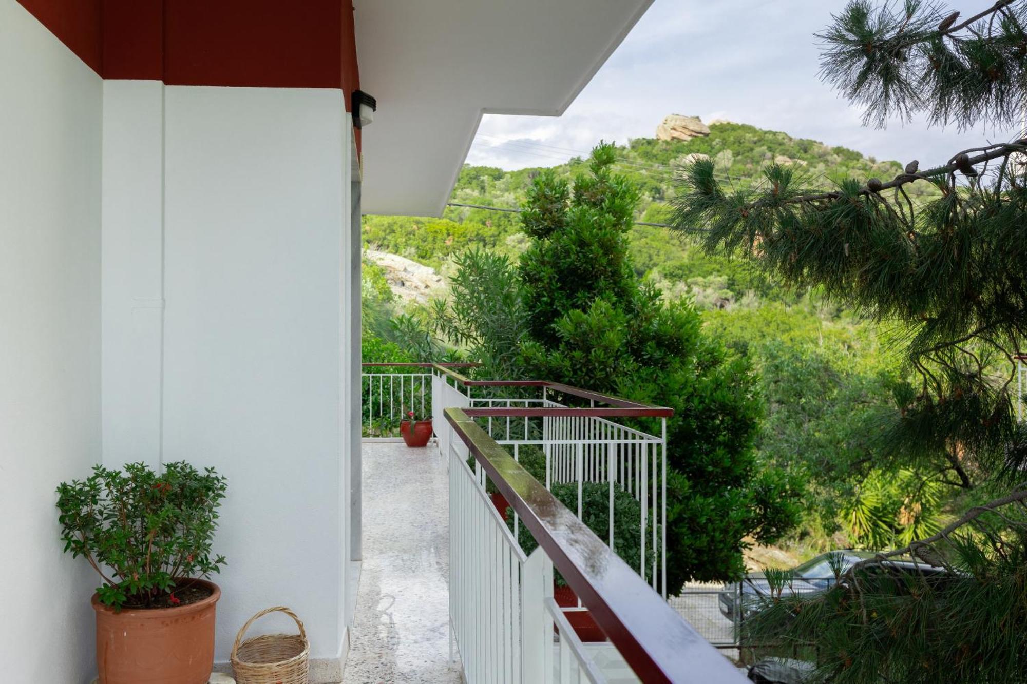 Mimoza'S Sea View Apartment PalaiónTsiflíkion المظهر الخارجي الصورة